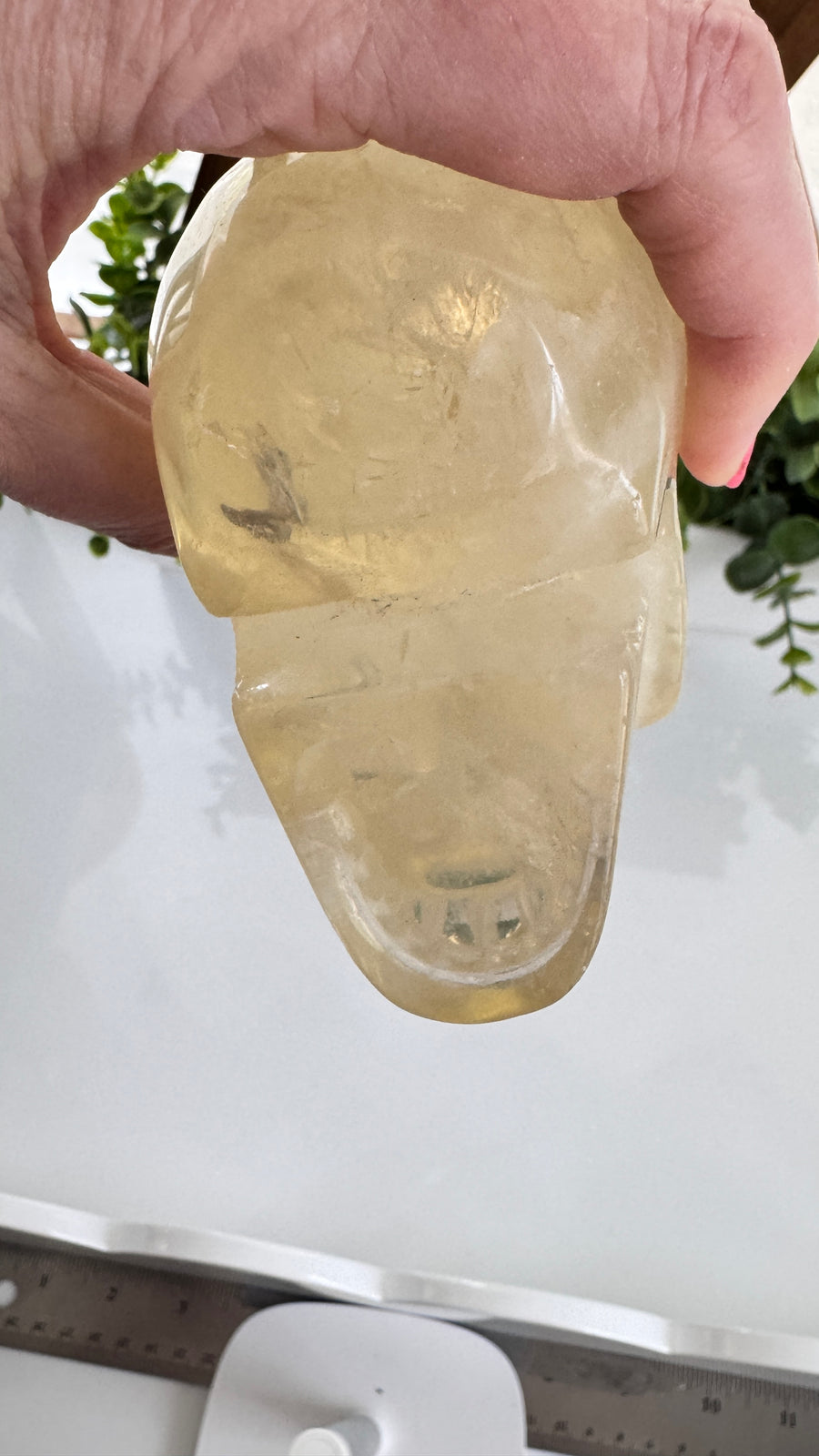 Flashy Citrine Crystal Skull for Prosperity with Rainbows! Large 3.75