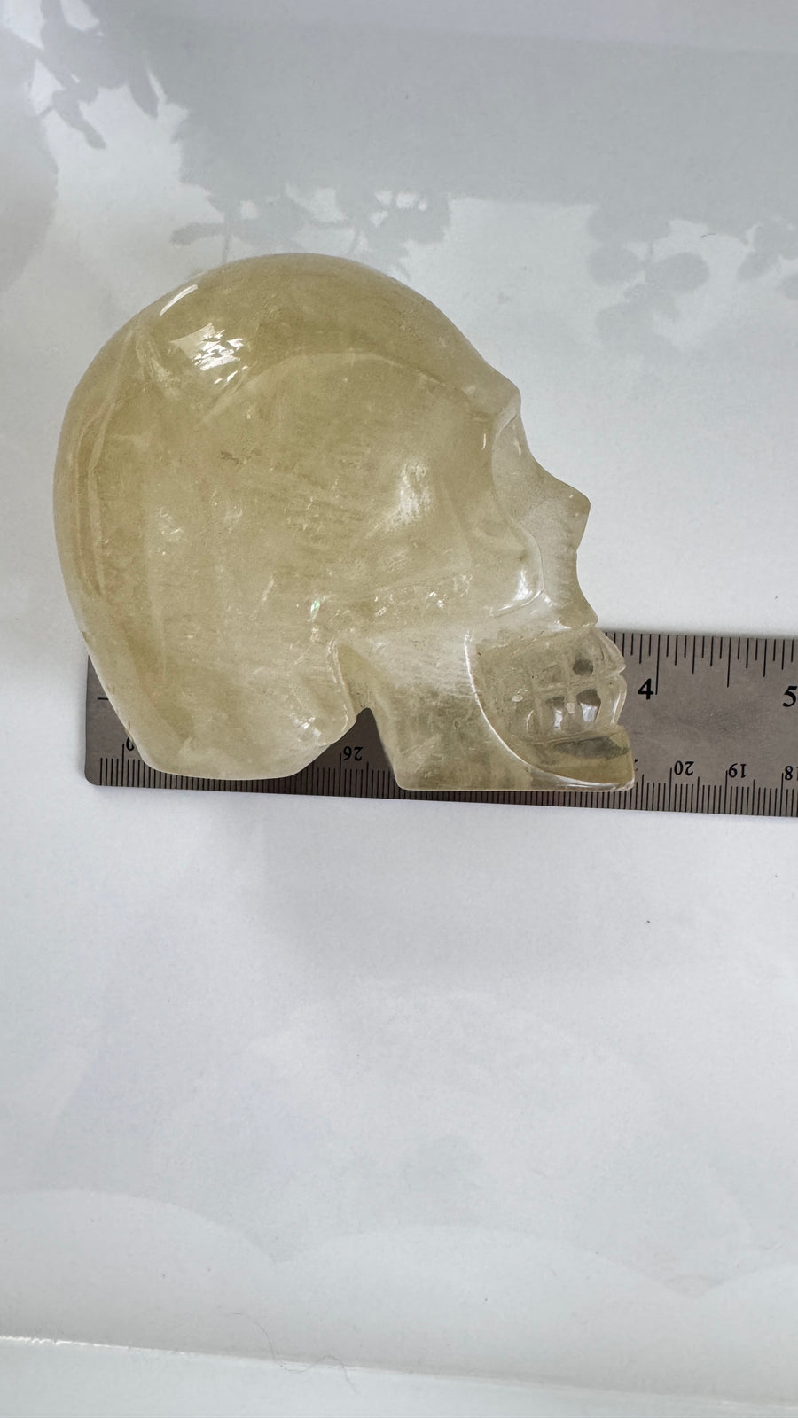 Flashy Citrine Crystal Skull for Prosperity with Rainbows! Large 3.75