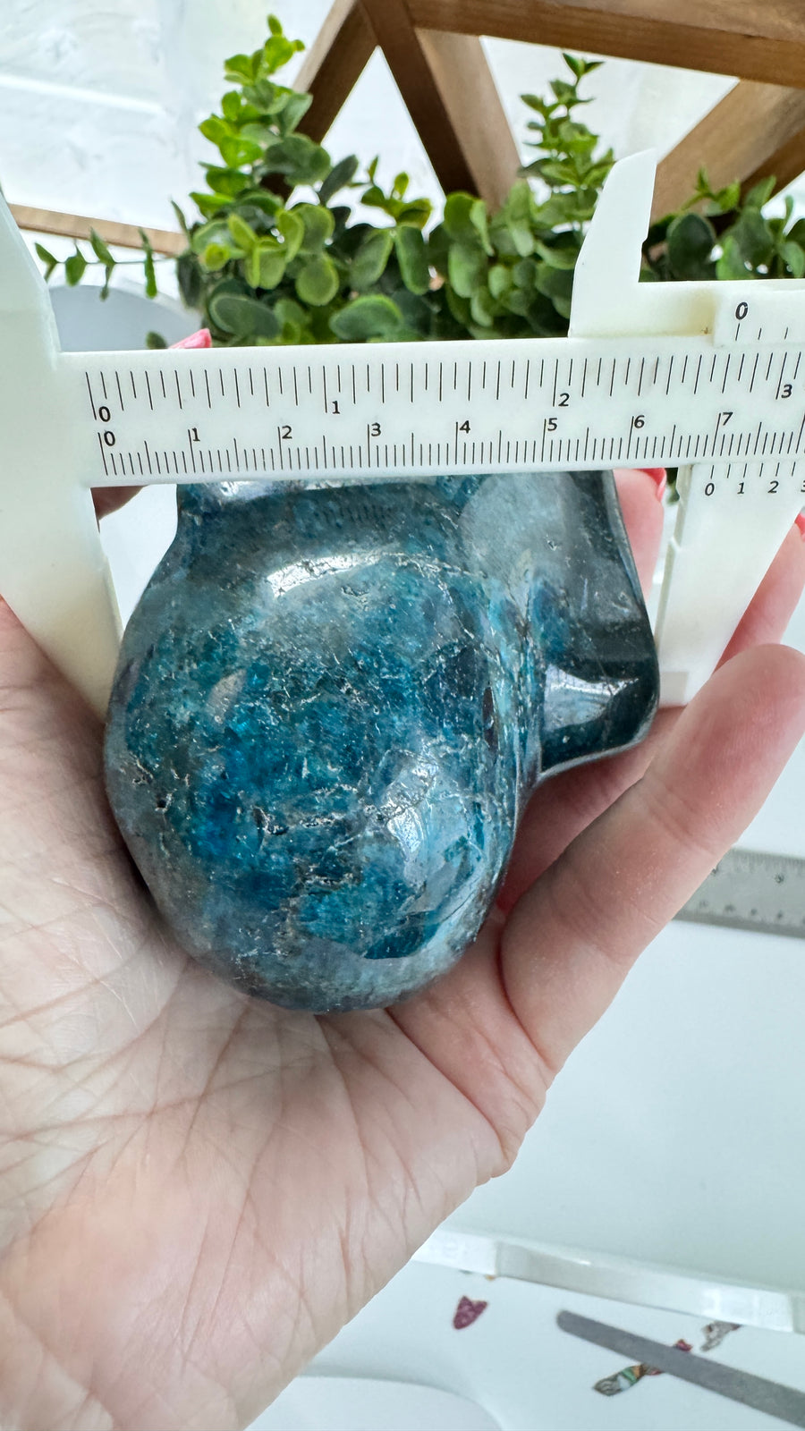 Blue Apatite Star Being Alien Crystal Skull with Labradorite for Galactic Connection