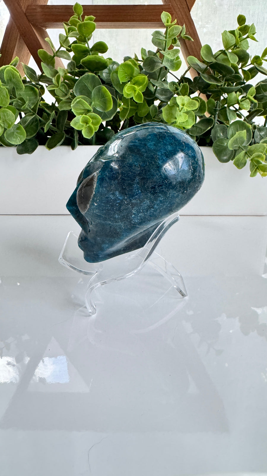 Blue Apatite Star Being Alien Crystal Skull with Labradorite for Galactic Connection