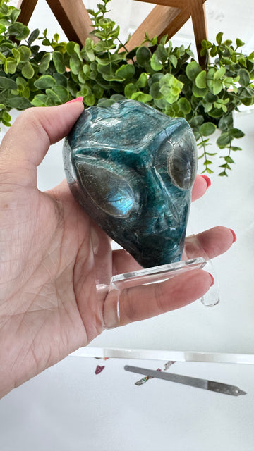 Blue Apatite Star Being Alien Crystal Skull with Labradorite for Galactic Connection