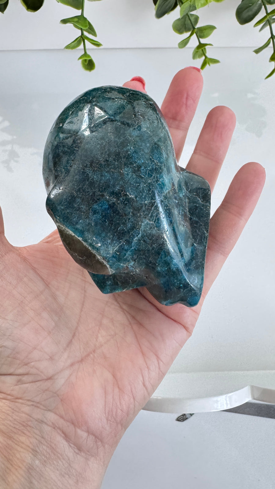 Blue Apatite Star Being Alien Crystal Skull with Labradorite for Galactic Connection