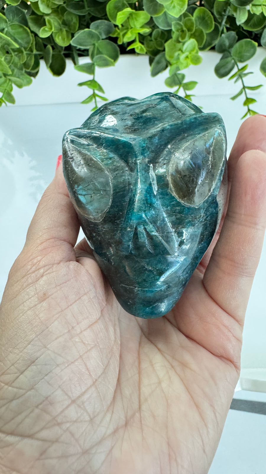 Blue Apatite Star Being Alien Crystal Skull with Labradorite for Galactic Connection