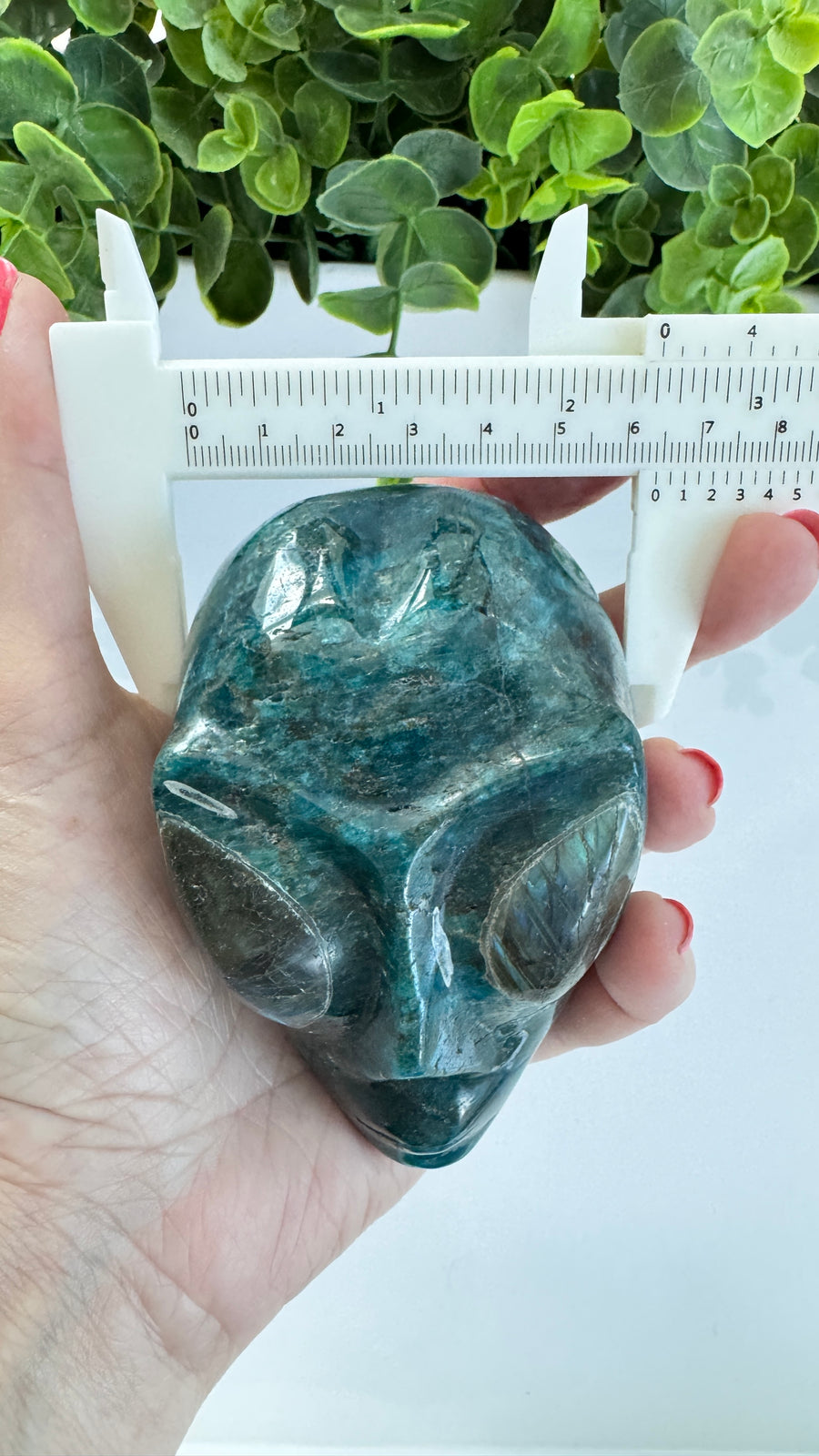 Blue Apatite Star Being Alien Crystal Skull with Labradorite for Galactic Connection