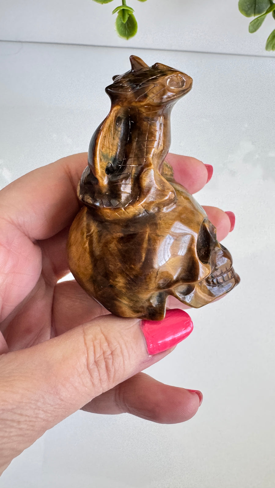 Toothless Draggie on Crystal Skull in Flashy Tiger's Eye with Blue Tiger's Eye 2.9