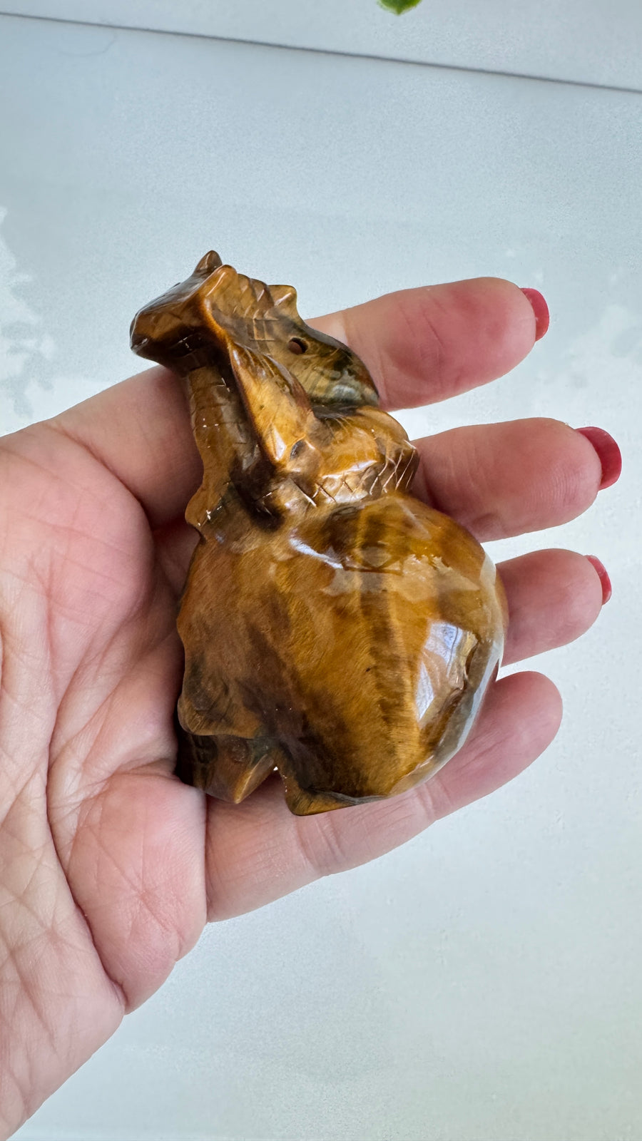 Toothless Draggie on Crystal Skull in Flashy Tiger's Eye with Blue Tiger's Eye 2.9