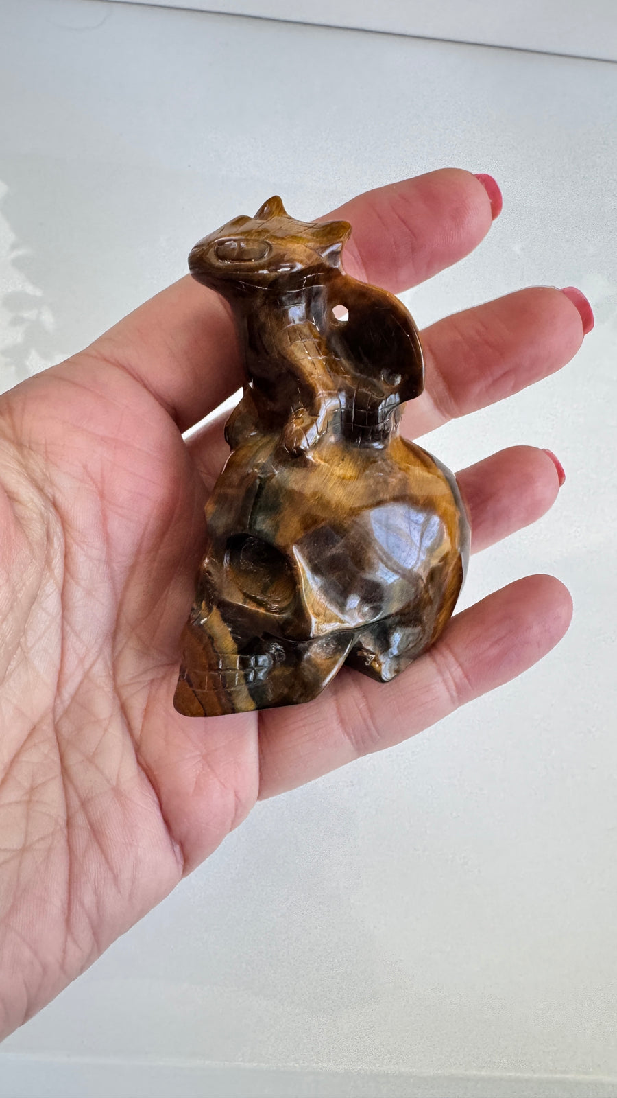 Toothless Draggie on Crystal Skull in Flashy Tiger's Eye with Blue Tiger's Eye 2.9