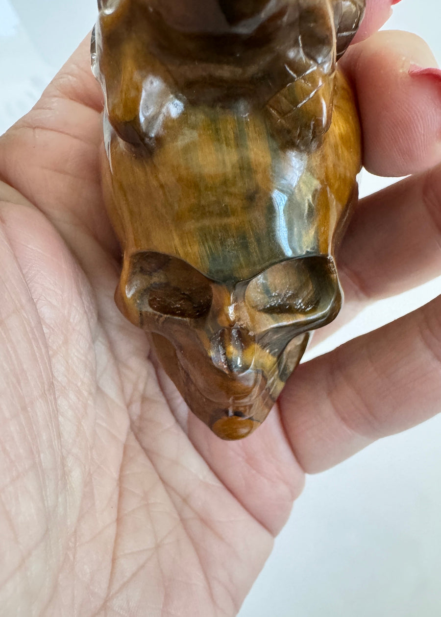 Toothless Draggie on Crystal Skull in Flashy Tiger's Eye with Blue Tiger's Eye 2.9