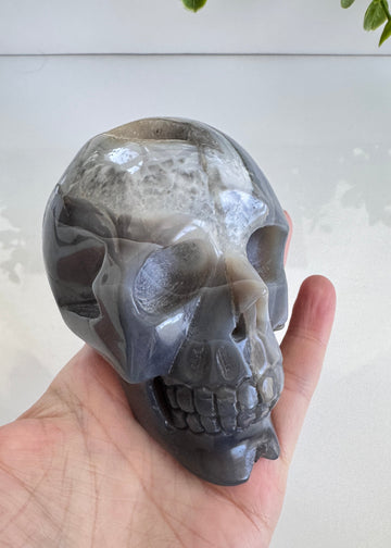 DISCOUNTED Druzy Agate Crystal Skull 3.5