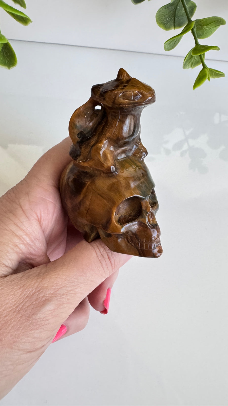 Toothless Draggie on Crystal Skull in Flashy Tiger's Eye with Blue Tiger's Eye 2.9