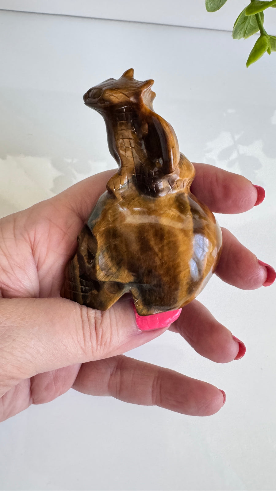 Toothless Draggie on Crystal Skull in Flashy Tiger's Eye with Blue Tiger's Eye 2.9