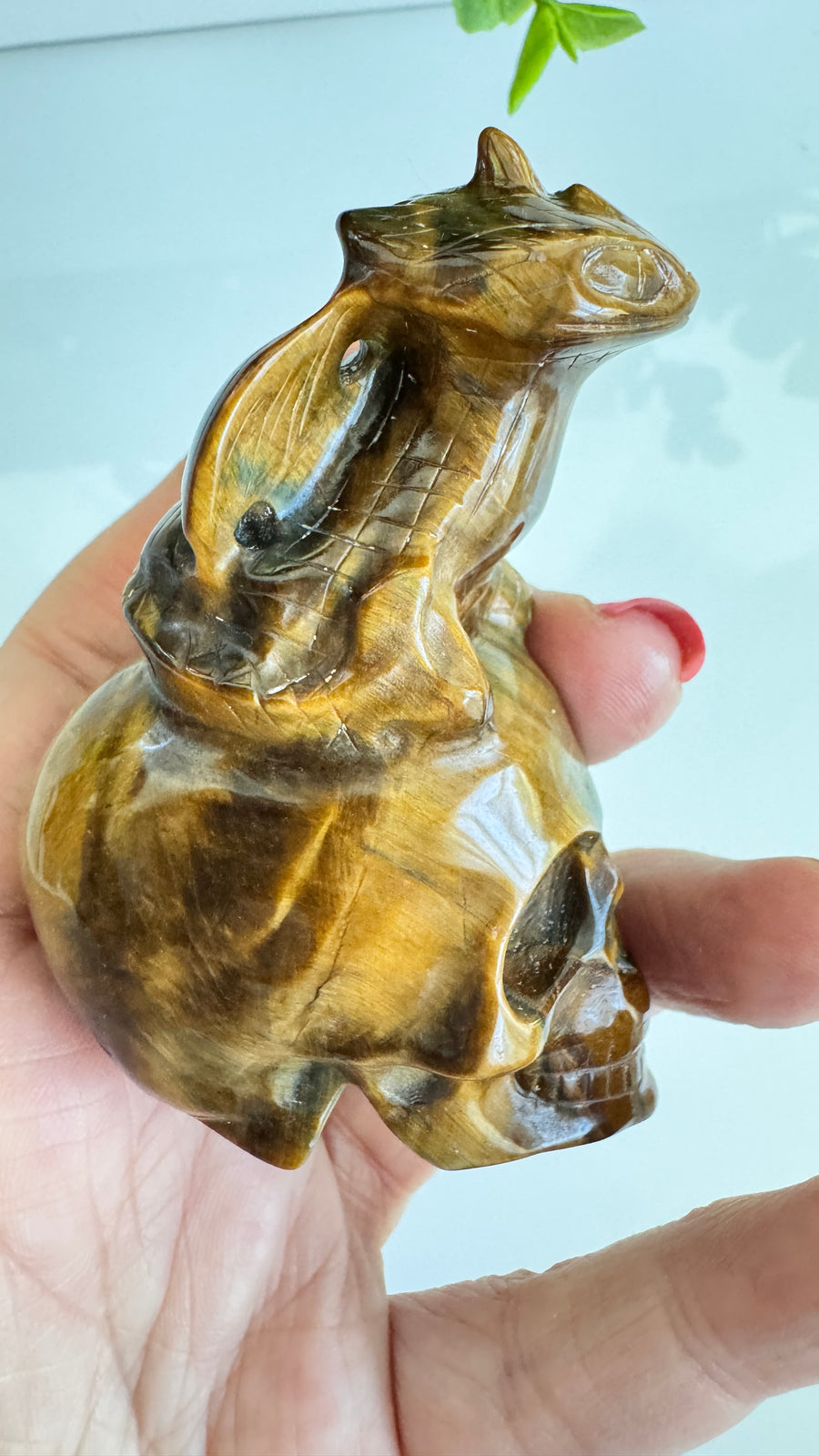 Toothless Draggie on Crystal Skull in Flashy Tiger's Eye with Blue Tiger's Eye 2.9