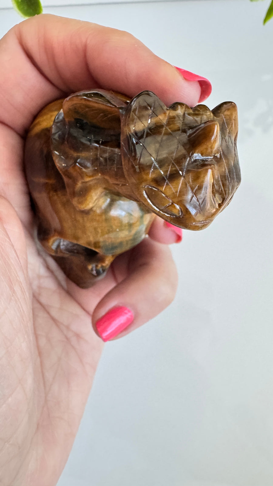 Toothless Draggie on Crystal Skull in Flashy Tiger's Eye with Blue Tiger's Eye 2.9