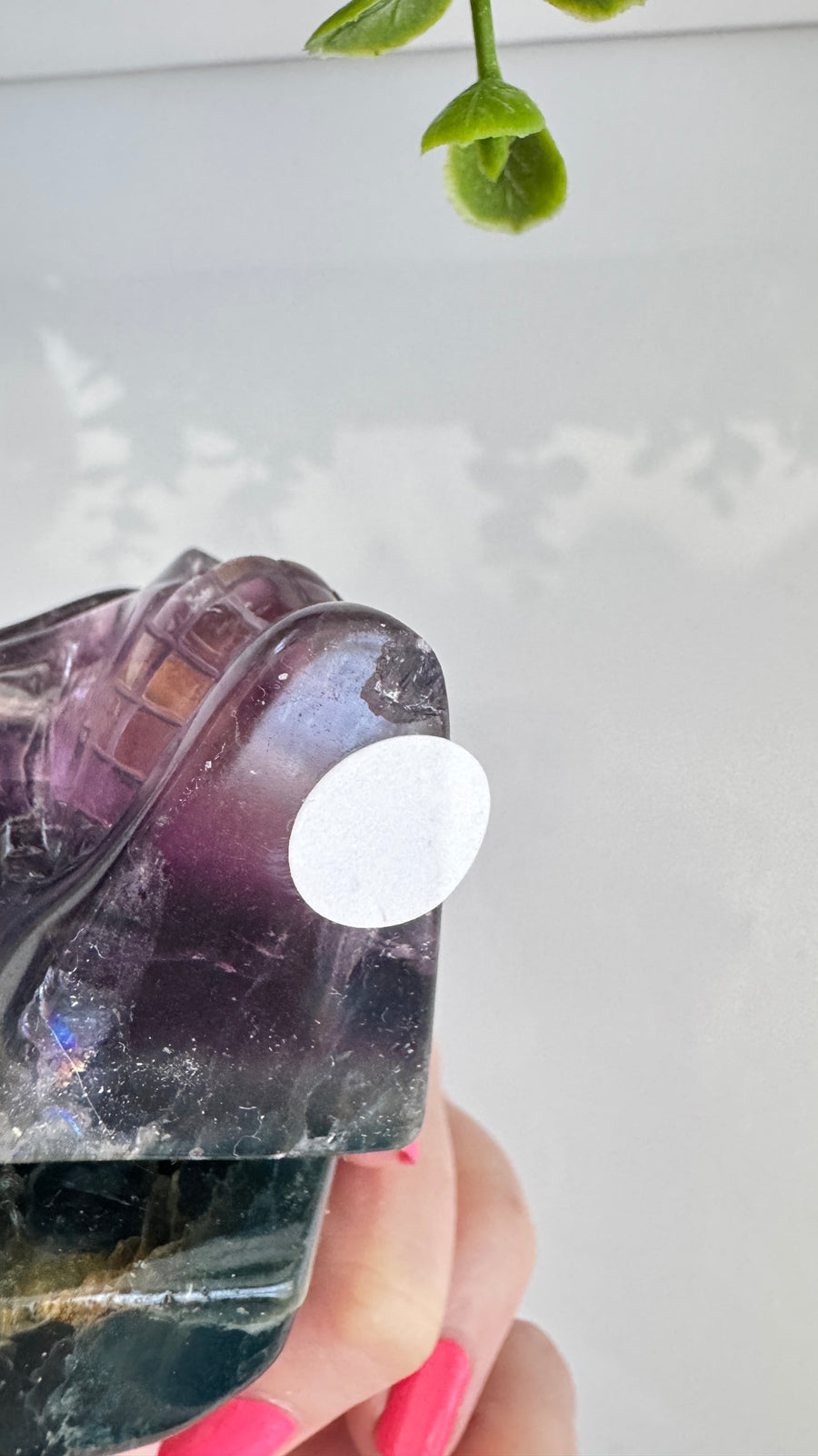DISCOUNTED Fluorite Crystal Skull with Mini Rainbows approx 2.9