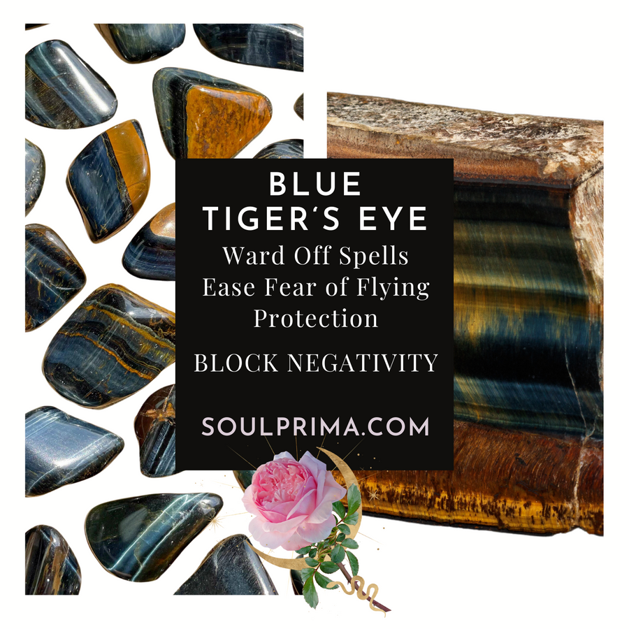 Toothless Draggie on Crystal Skull in Flashy Tiger's Eye with Blue Tiger's Eye 2.9