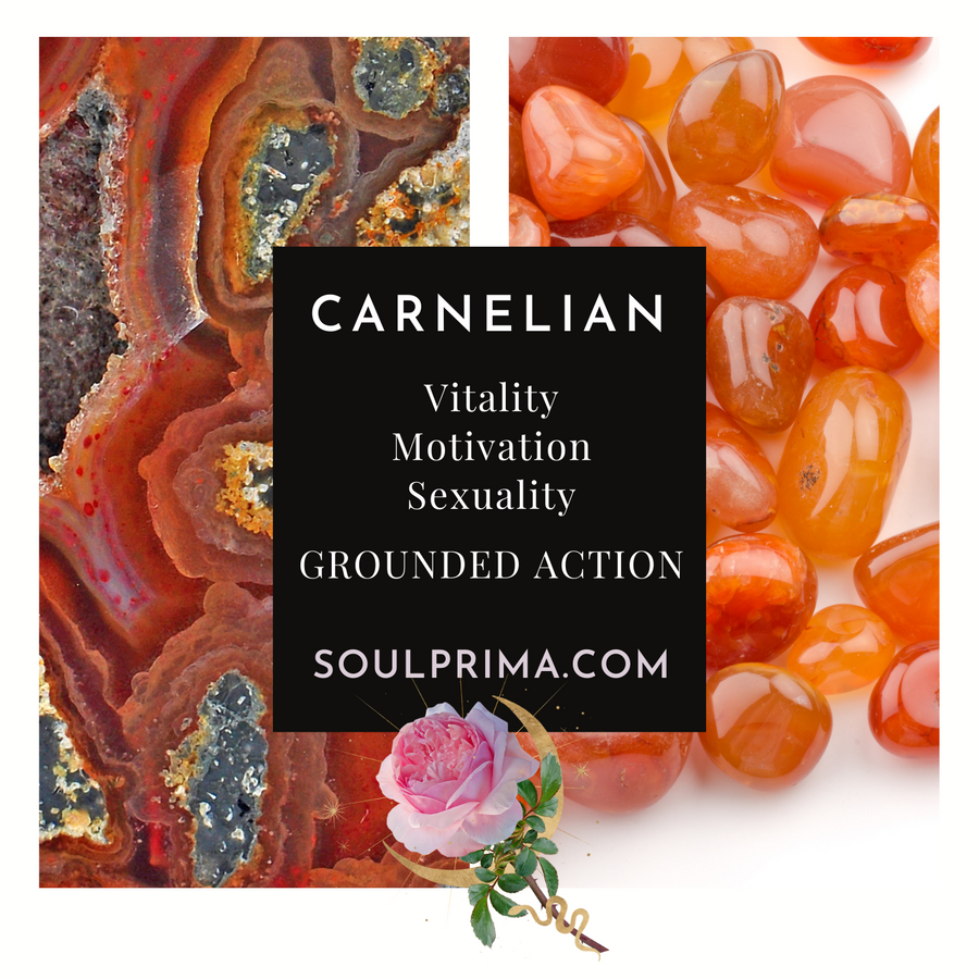 Carnelian Mala 16 mm XL Bracelet, Stretchy, XL Statement Bracelet