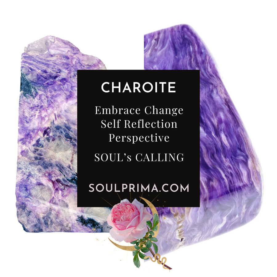 Charoite 12-14 mm Bracelet for Soul Path Illumination, Stretchy, Extra Large Beads