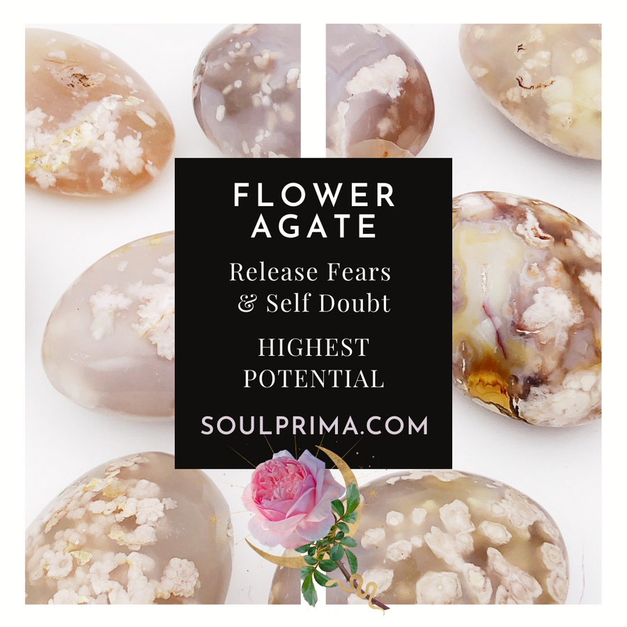 Flower Agate 8 mm Bracelet for Confidence & Growth, Stretchy