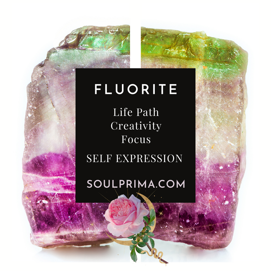 You Pick! Egyptian Anubis Bust in Fluorite, Choose Your Favorite, 2 Inch