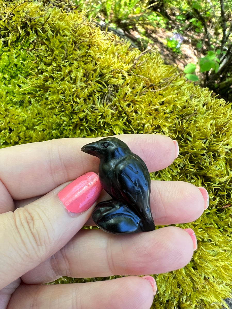 Black Obsidian Yoni Raven Crow for Protection & Boundaries, 1 Inch