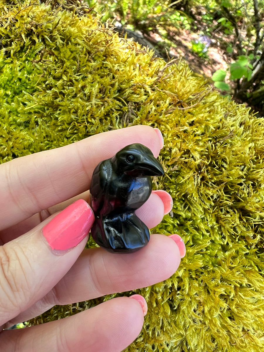 Black Obsidian Yoni Raven Crow for Protection & Boundaries, 1 Inch