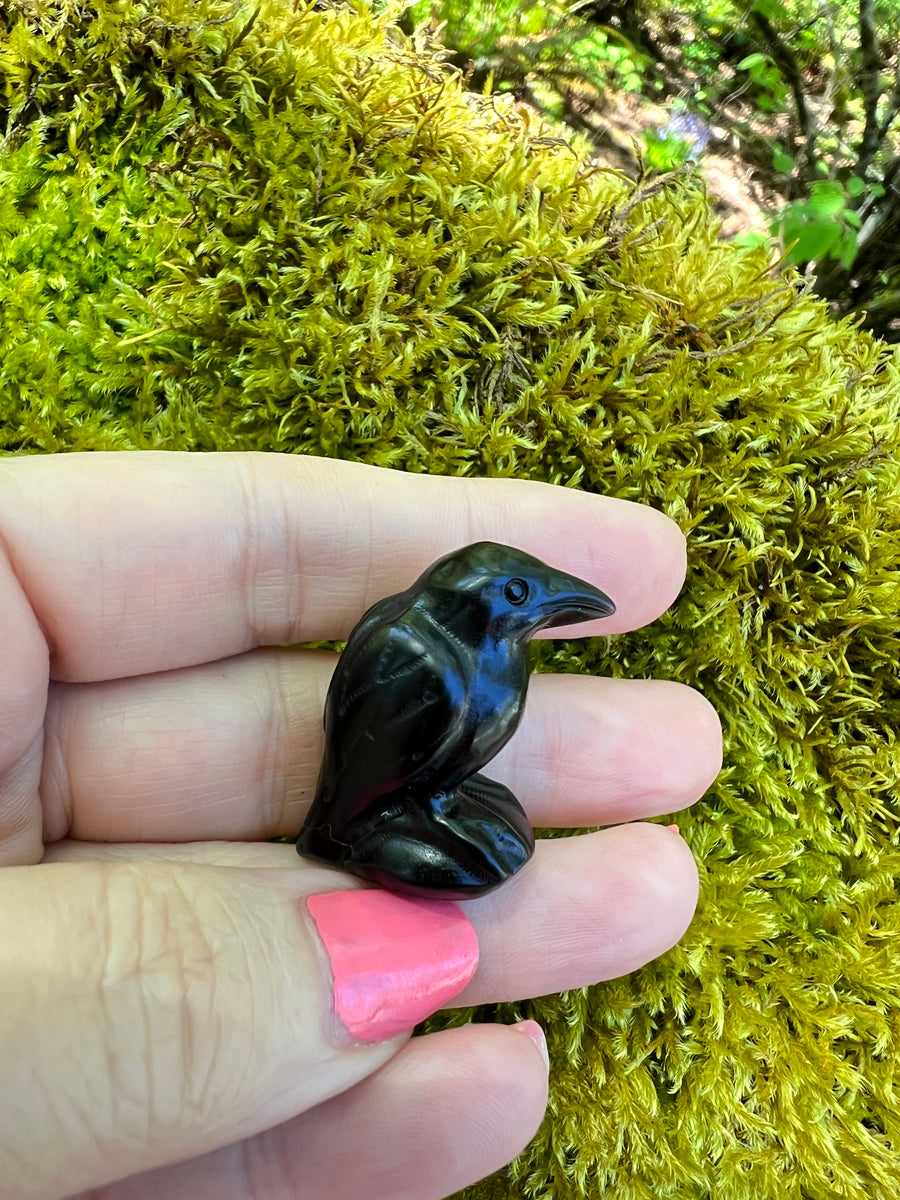 Black Obsidian Yoni Raven Crow for Protection & Boundaries, 1 Inch
