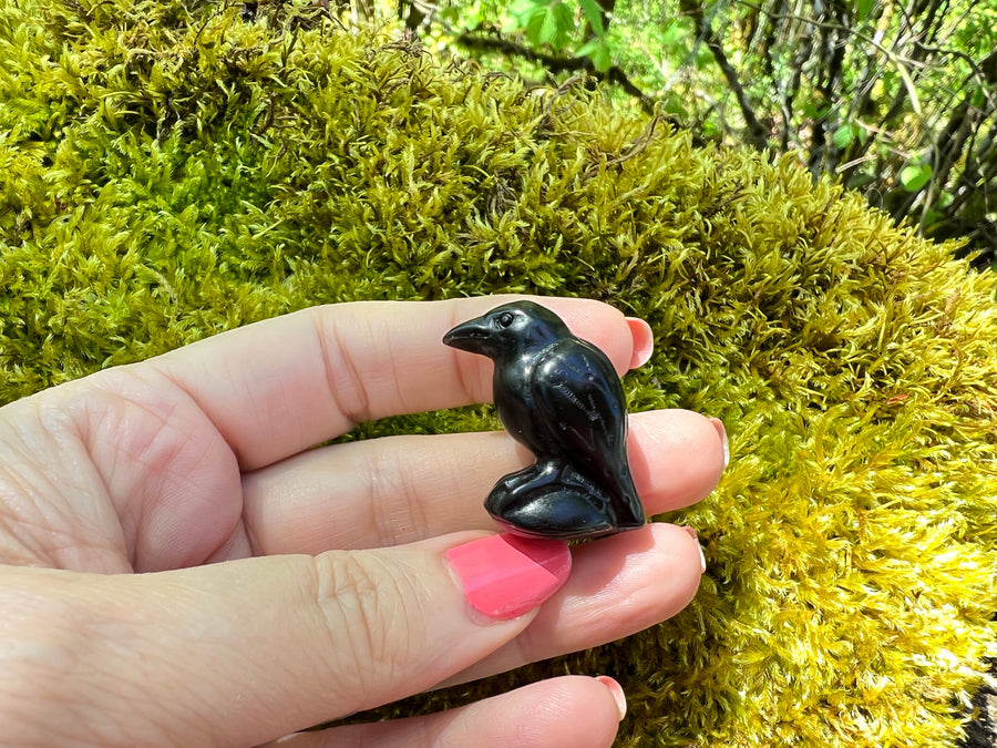Black Obsidian Yoni Raven Crow for Protection & Boundaries, 1 Inch