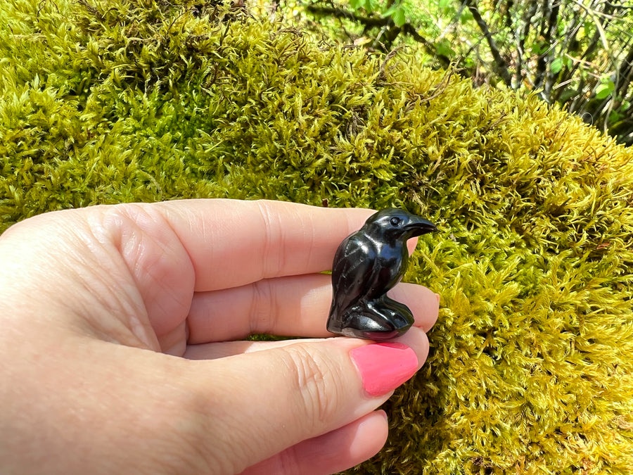 Black Obsidian Yoni Raven Crow for Protection & Boundaries, 1 Inch