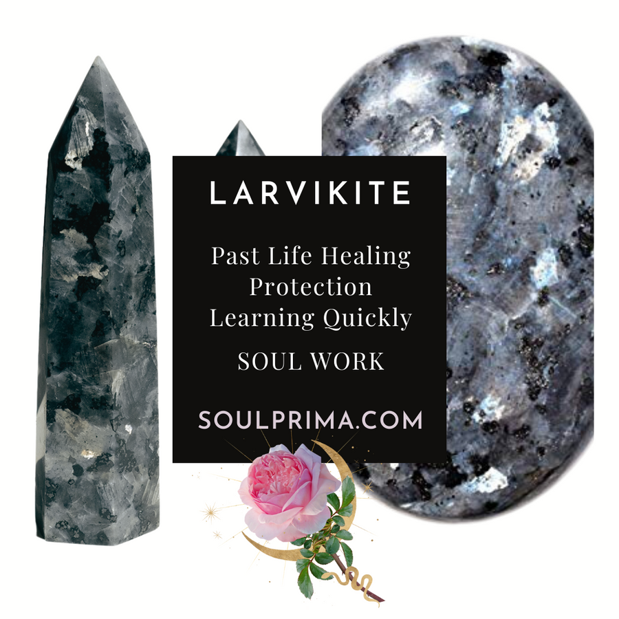 Larvikite Llama Alpaca, 4 Inch, Choose Your Favorite Crystal Carving