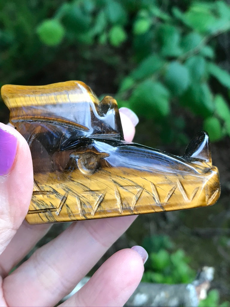 Tiger Eye Dragon Head, 111g
