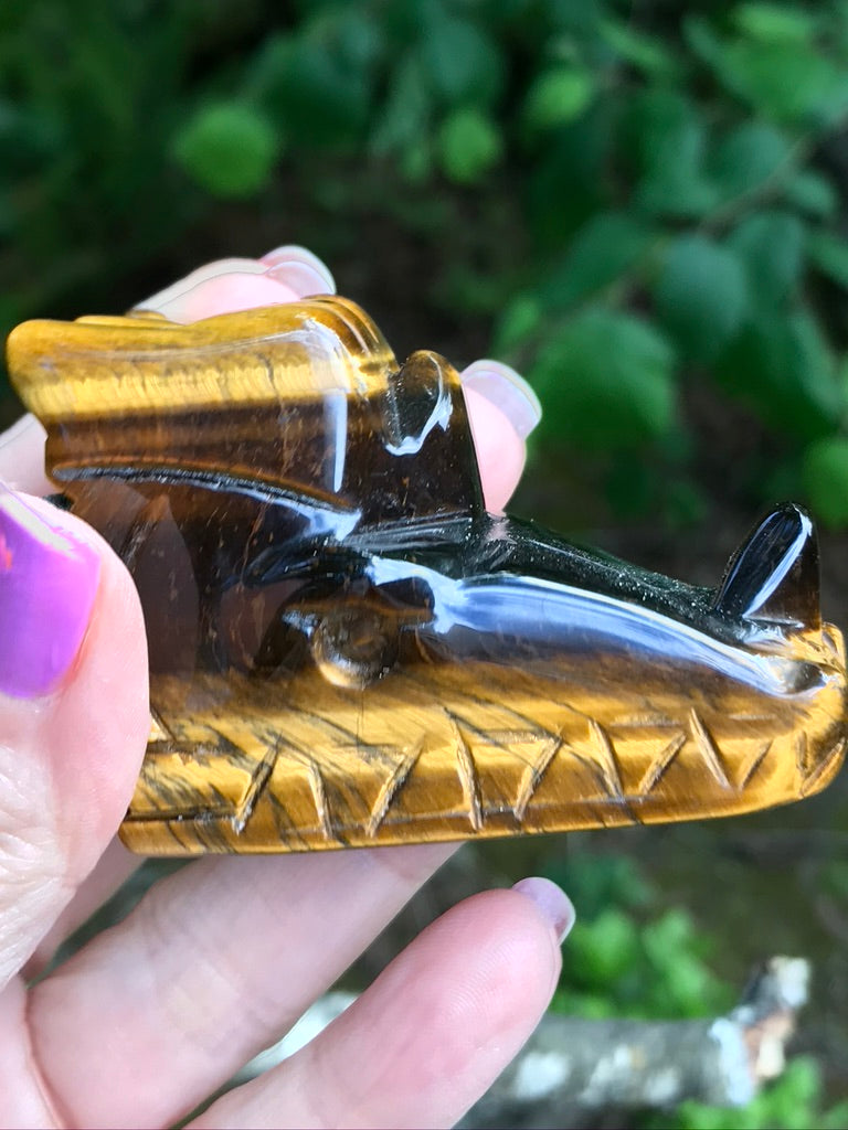 Tiger Eye Dragon Head, 111g