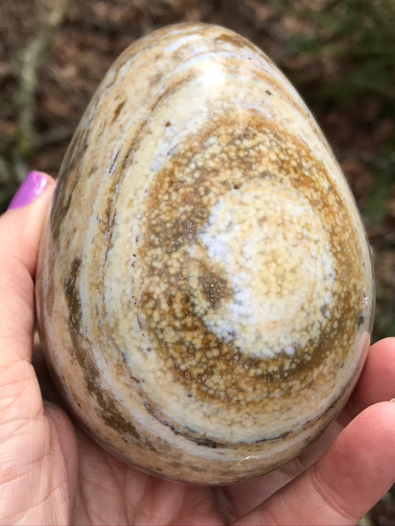 Ocean Jasper Egg XXL