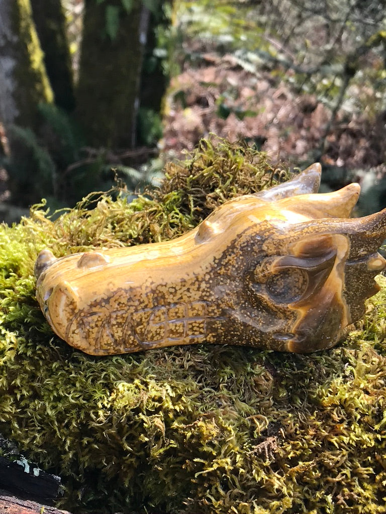 Golden Sunset Ocean Jasper Dragon Head