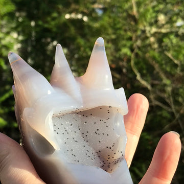 Druzy Agate Geode Dragon Head