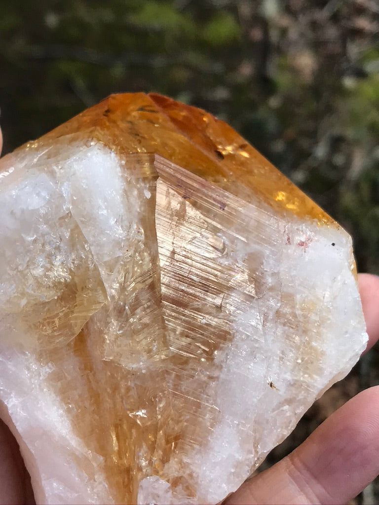 Huge Vibrant Raw Citrine Twin Point with Free Stand, 473 Grams