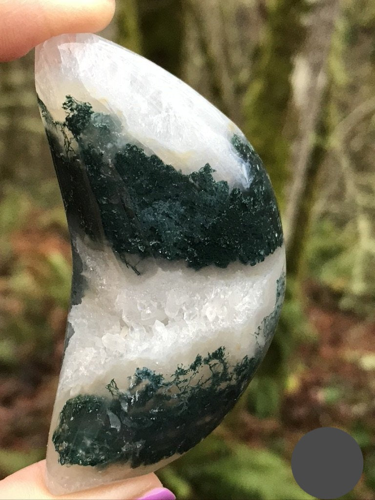 Moss Agate Puffy Moon Palm for Stable Manifesting, Large 3 inches approx