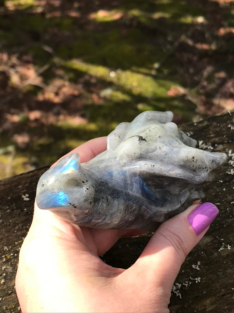Labradorite BLUE FLASH Dragon Head, 4 Inch, Exact Item as Pictured