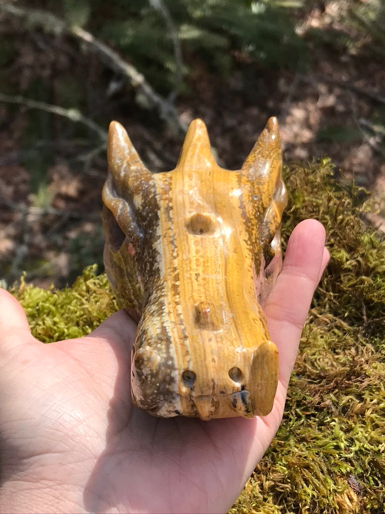 Golden Sunset Ocean Jasper Dragon Head