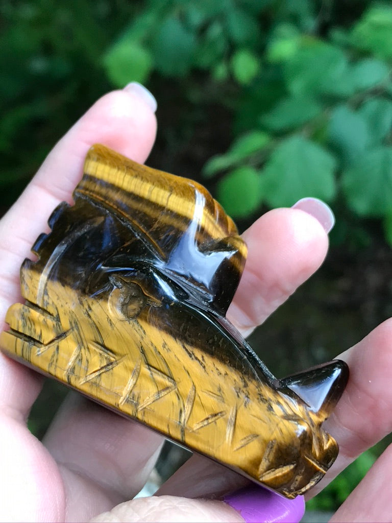 Tiger Eye Dragon Head, 111g