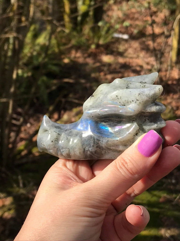 Labradorite BLUE FLASH Dragon Head, 3.5 Inch, Exact Item as Pictured