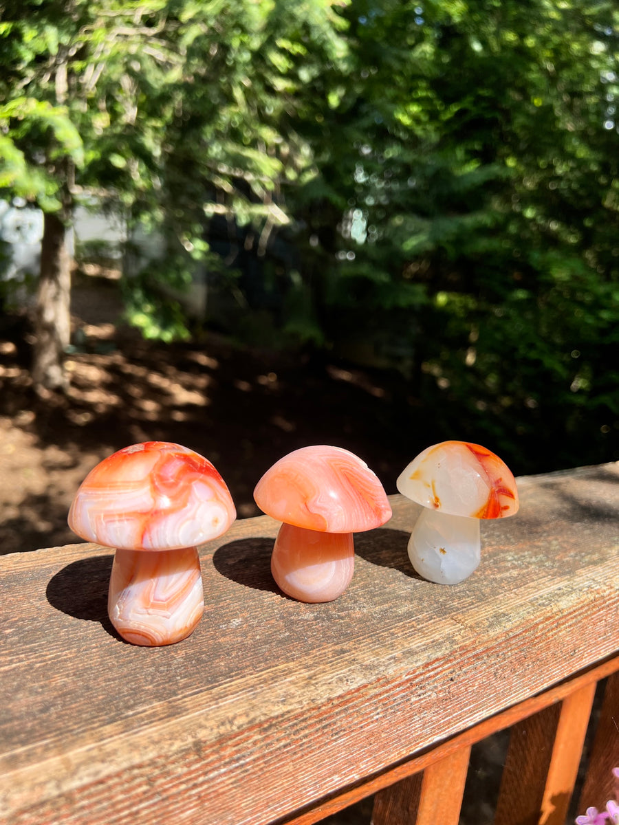 Large Shroomie, Carnelian  -RESERVED FOR INSTAGRAM LIVE SALE--JOIN OUR INSTAGRAM LIVE SALES AT SOULPRIMACRYSTALS, OR EMAIL US AT HELLO@SOULPRIMA.COM FOR INFO