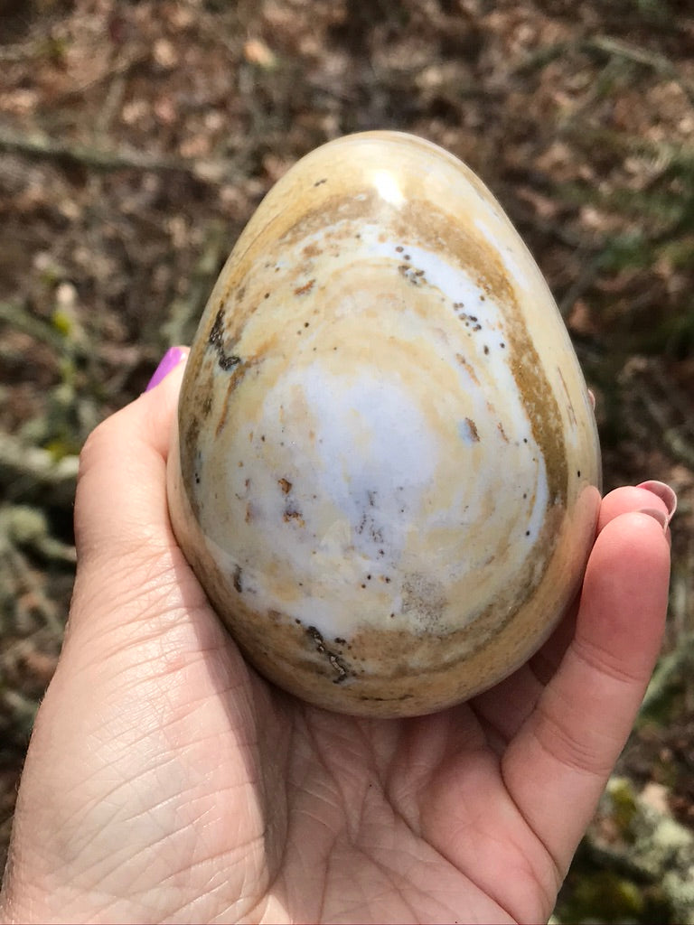 Ocean Jasper Egg XXL