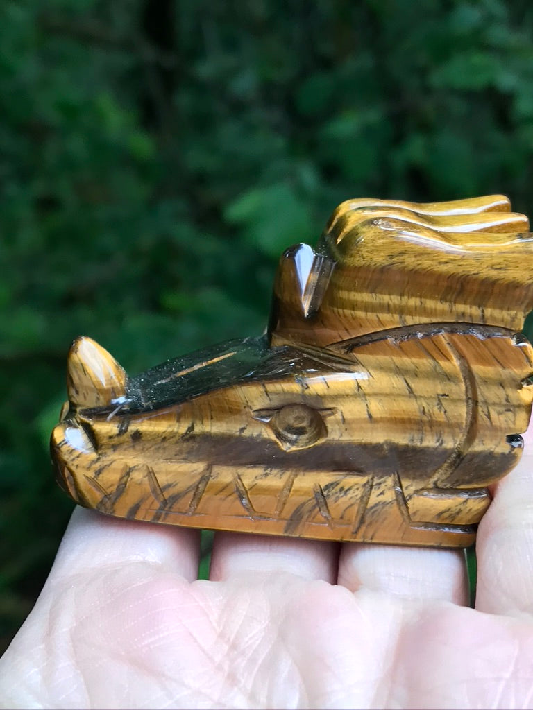 Tiger Eye Dragon Head, 111g