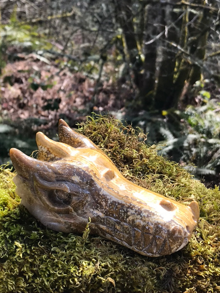 Golden Sunset Ocean Jasper Dragon Head