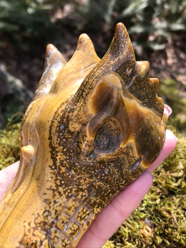 Golden Sunset Ocean Jasper Dragon Head