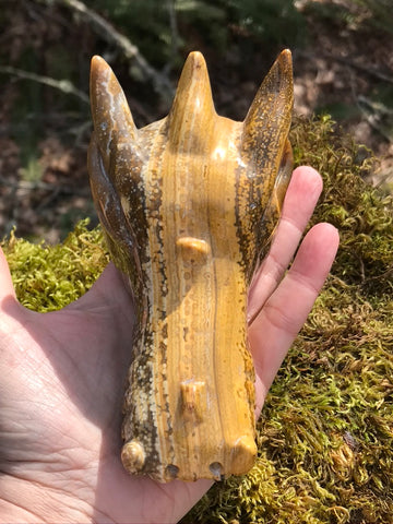 Orbicular Ocean Jasper Dragon Head