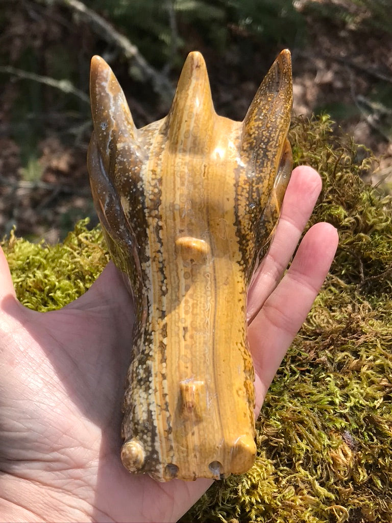 Golden Sunset Ocean Jasper Dragon Head