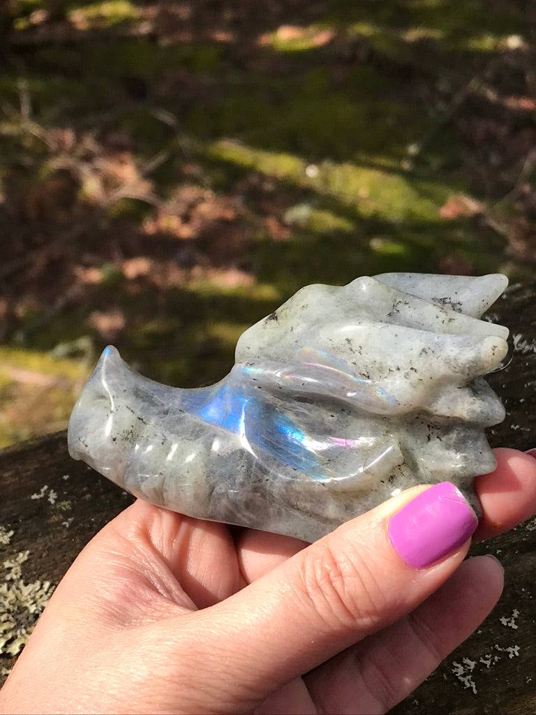 Labradorite BLUE FLASH Dragon Head, 4 Inch, Exact Item as Pictured