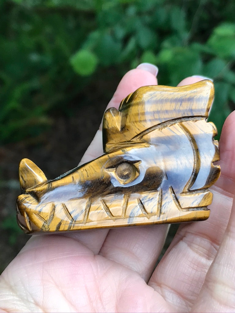 Tiger Eye Dragon Head, 111g