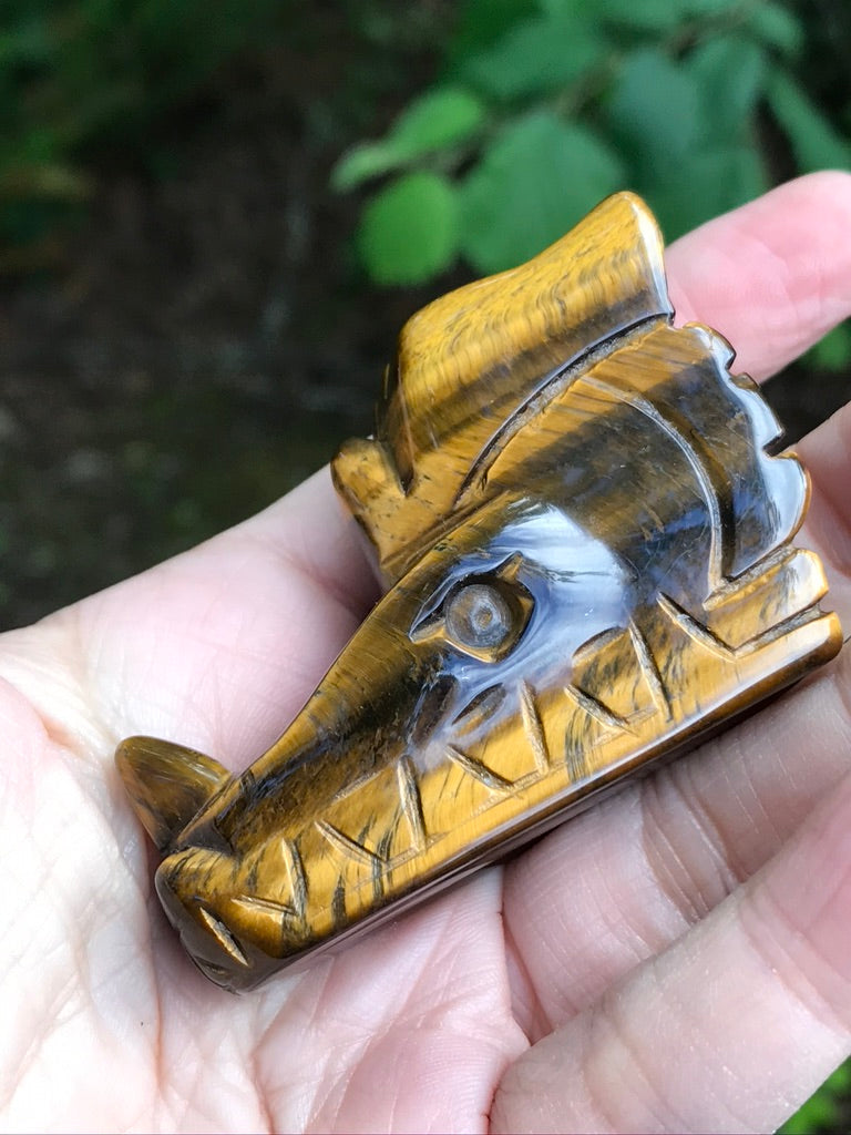 Tiger Eye Dragon Head, 111g